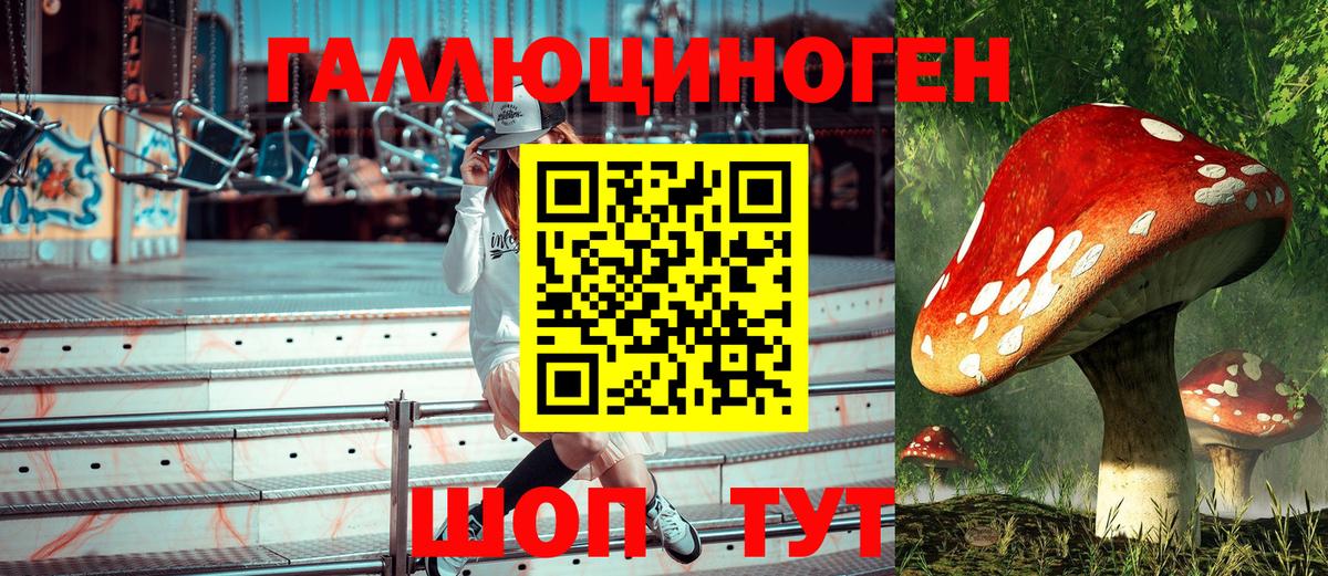 Тайшет  Галлюциногенные грибы мицелий  Вход с VPN 